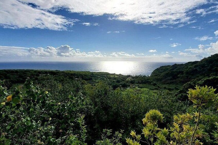 Private Open-Air Road to Hana Tour 6 hour (max 14 guests) 4