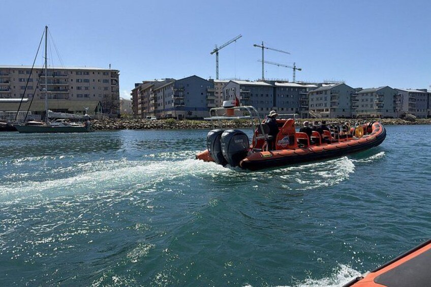 Rib Adventure Experience in Gibraltar 3