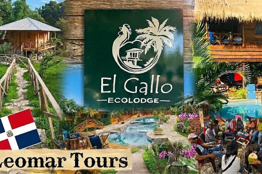A tropical lodge named El Gallo Ecocodge with a swimming pool, wooden structures, and lush greenery. 1