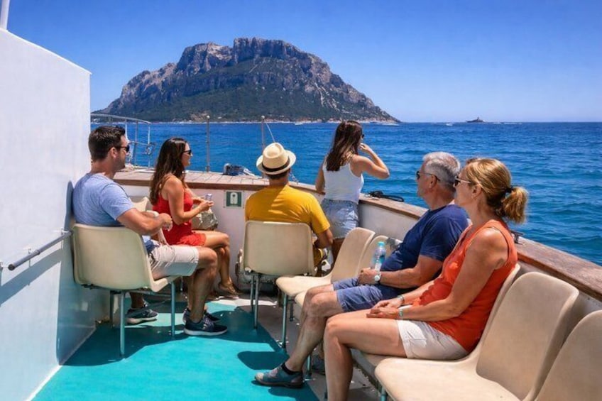 En grupp människor på en båt med en bergig ö i bakgrunden. 5