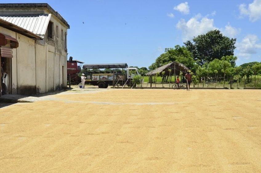 Punta Cana Safari Experience 2