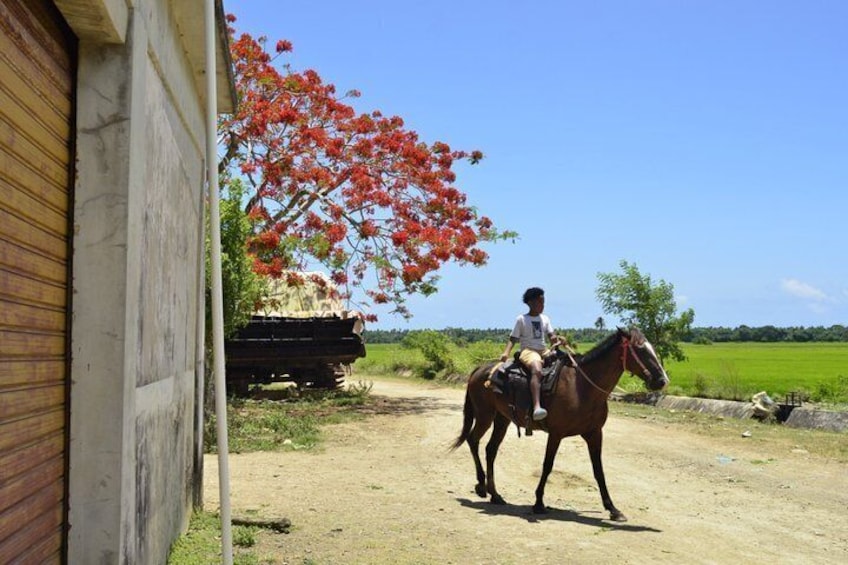 Punta Cana Safari Experience 3
