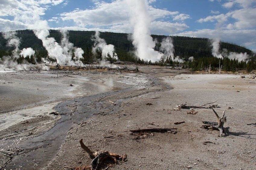 A geothermal area with steam vents, a rocky terrain, and a forested hill in the background. 4