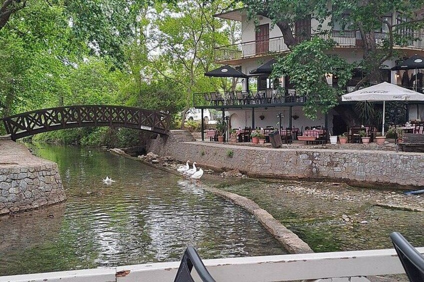 Een rivier met zwanen, een houten brug en terrasjes. 5