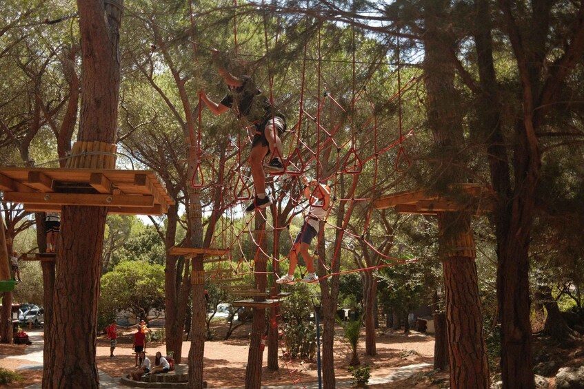 Cala Gonone Adventure: Adventure Park Entry Ticket! 1