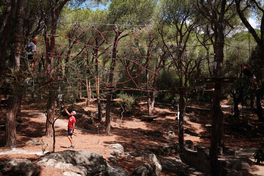Picture 10 for Activity Cala Gonone Adventure: Adventure Park Entry Ticket! 2