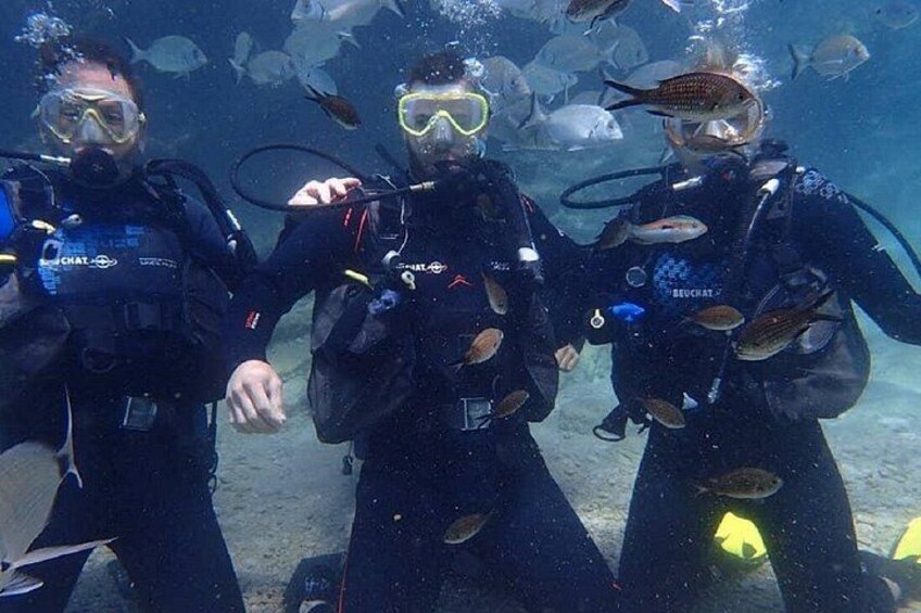 Tres buzos explorando bajo el agua, rodeados de peces. 4