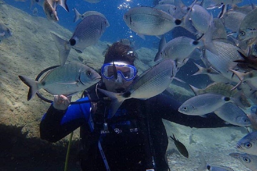 Una persona buceando con peces alrededor. 5