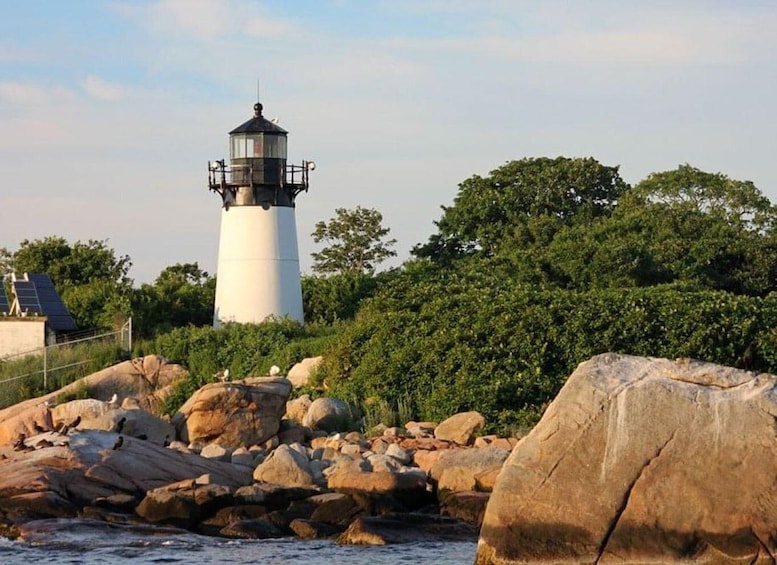 A lighthouse with a white tower and black top, surrounded by rocks and greenery. 2