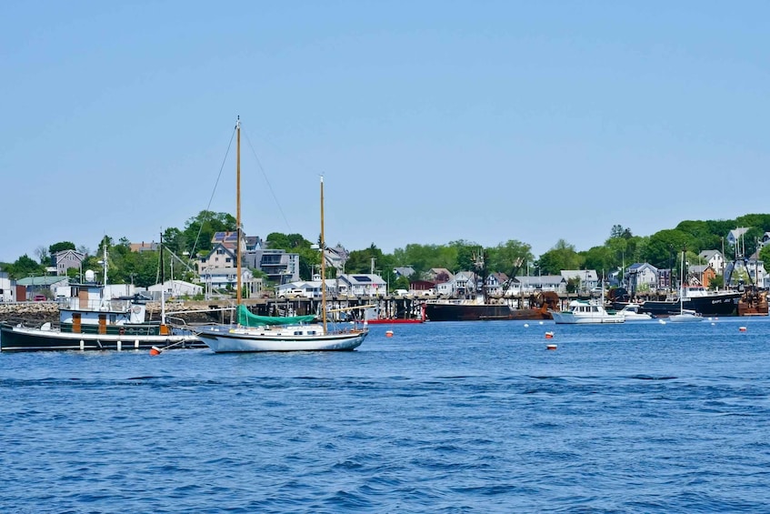 A harbor with multiple boats, a prominent sailing ship, and a backdrop of residential buildings. 5