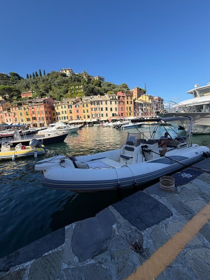 Picture 5 for Activity Exclusive Riviera Tour: Portofino, legendary villas, and secret bays 2