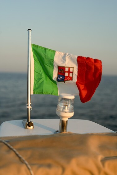 A flagpole with a flag featuring a coat of arms, set against a body of water. 5