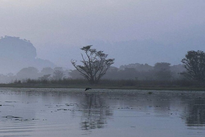 Sigiriya Kayak Experience Peaceful Sunrise Lake Adventure 5