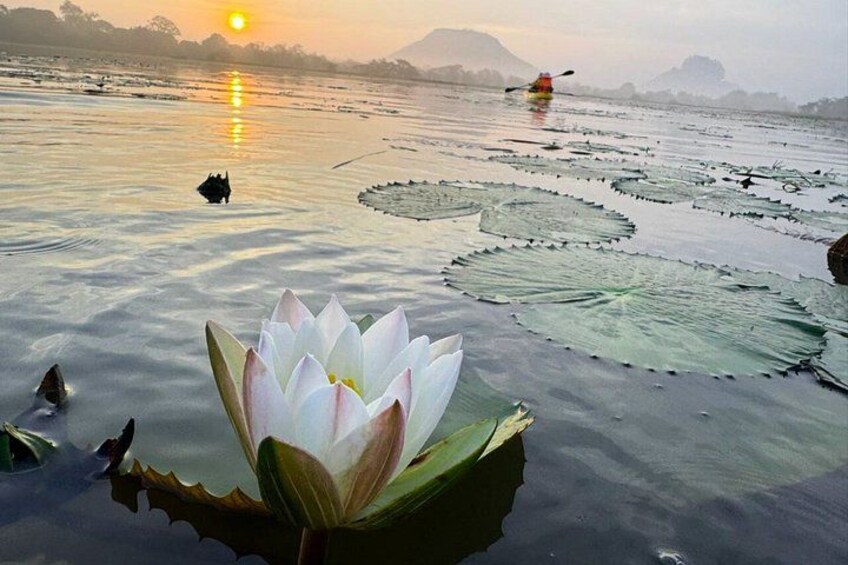 Sigiriya Kayak Experience Peaceful Sunrise Lake Adventure 2