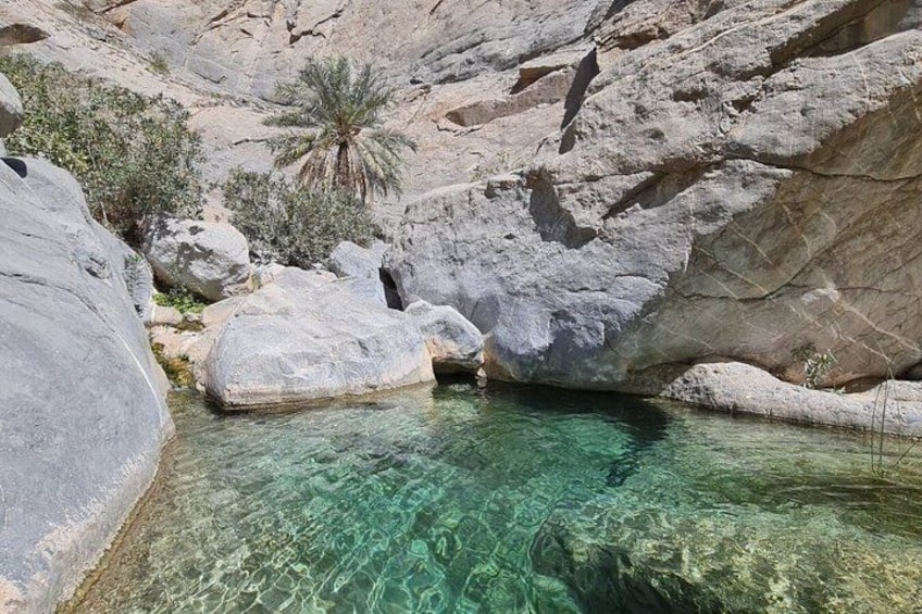 Una piscina cristalina rodeada de rocas grandes y una palmera. 2