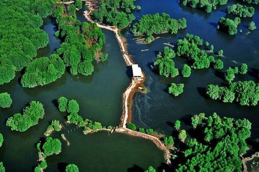 Discover the National Biosphere Reserve of Can Gio Private Tour 1
