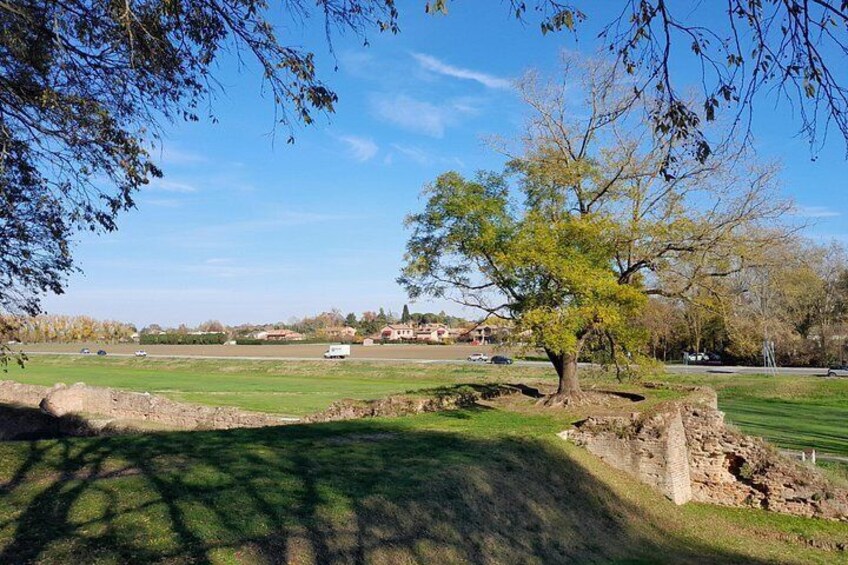 A grassy field with a tree and stone ruins. 3