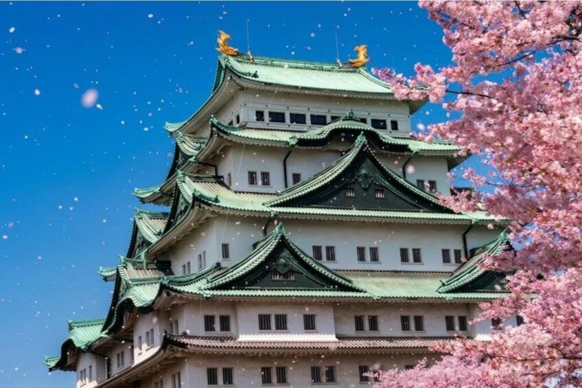 Nagoya Private Custom Tour with Local Guide 5