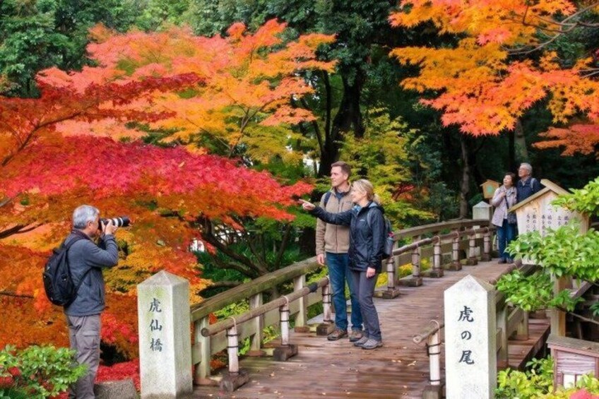 Nagoya Private Custom Tour with Local Guide 3