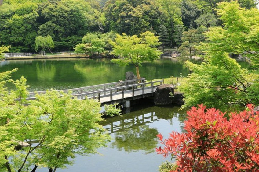 A serene lake with a wooden bridge, lush greenery, and a red flowering tree. 3