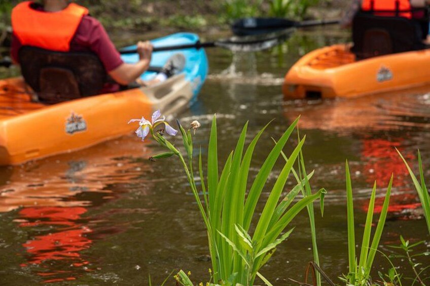Two kayaks on a river, one orange and one blue, with a person wearing an orange life jacket. 2