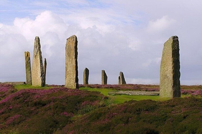 Private Half Day Tour in Orkney 4