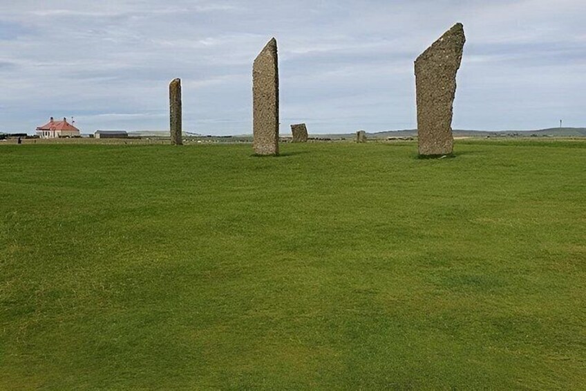 Private Half Day Tour in Orkney 5