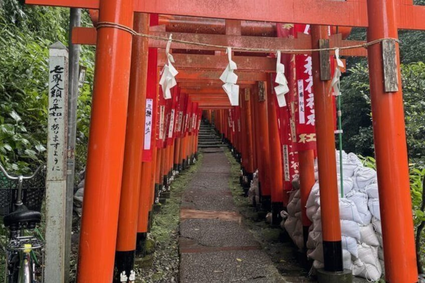 Kamakura Private Custom Tour with Local Guide 4