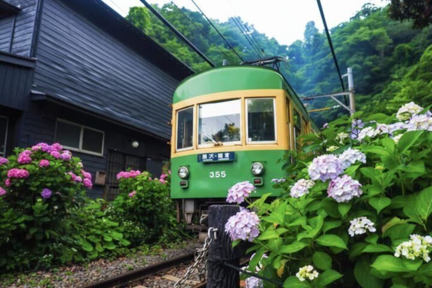 Kamakura Private Custom Tour with Local Guide 5