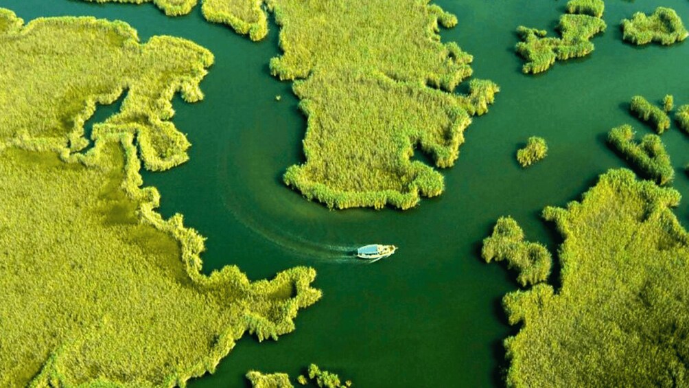An aerial view of a green forested area with a boat creating a wake in the water. 3