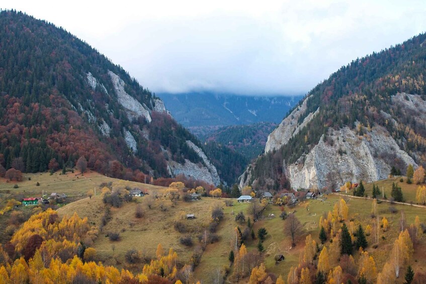 A valley with autumn-colored trees, rocky mountains, and scattered houses. 4