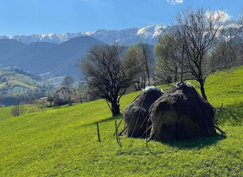 A rural landscape with haystacks, trees, and a house in the valley. 3