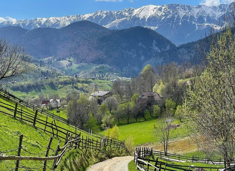 A rural landscape with a dirt road, wooden fences, green fields, scattered houses, and snow-capped mountains in the background. 1
