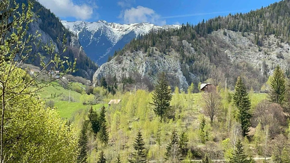 A mountainous landscape with snow-capped peaks, a forested valley, and a small house. 5