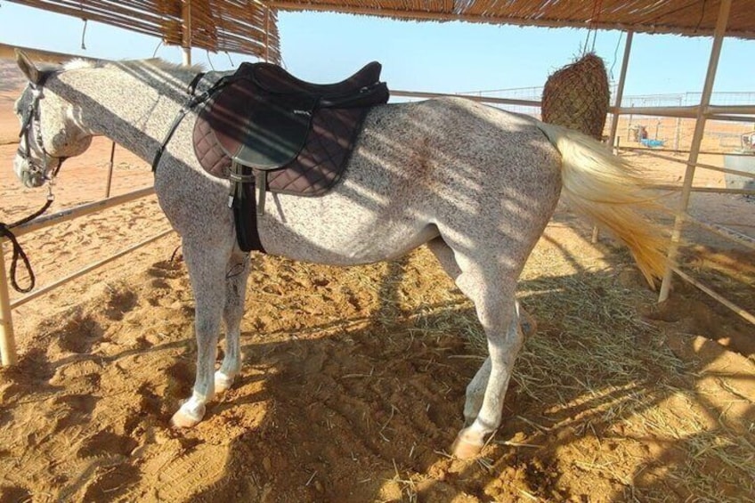 A white horse with a saddle in a stable with hay bales and a thatched roof. 5