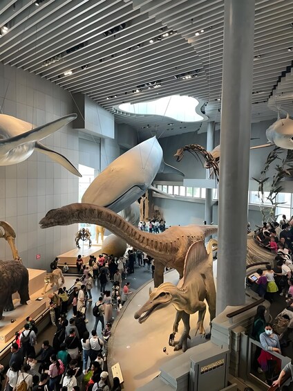 A museum with large dinosaur and whale exhibits, a modern ceiling design, and a crowd of visitors. 5