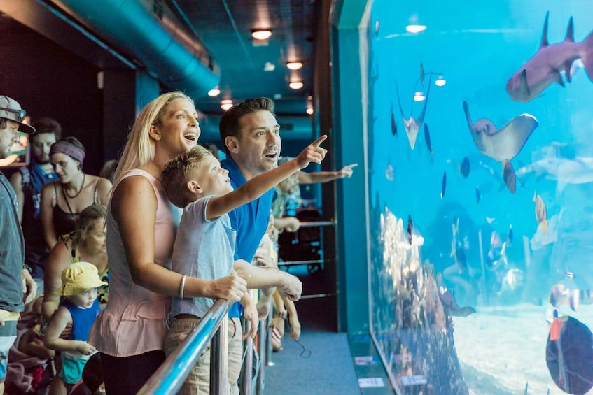 Picture 7 for Activity Gold Coast: Jetboat Ride & 5-Day Theme Park Pass 4