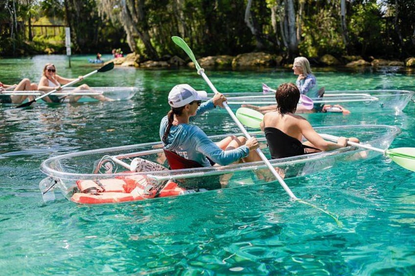 Personas haciendo kayak en una masa de agua azul cristalina rodeada de árboles. 4