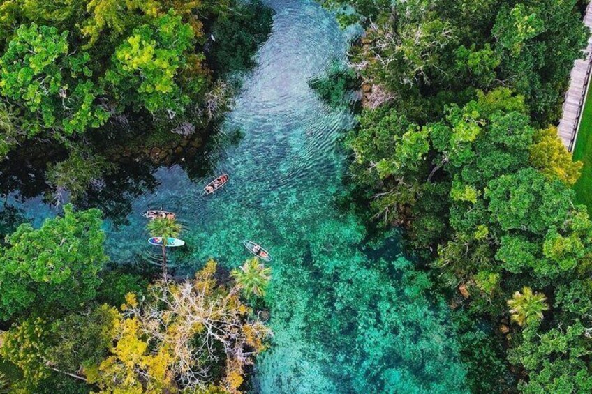 Clear Kayak Three Sisters Springs Guided Summer Swim Tour 5