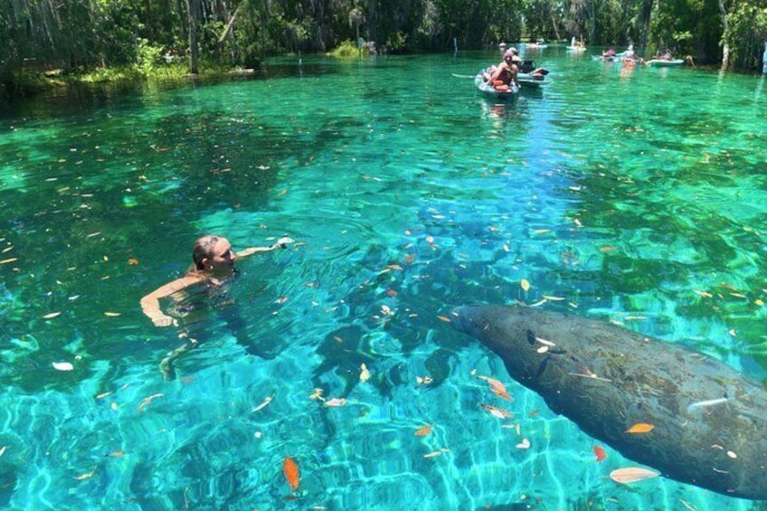 Clear Kayak Three Sisters Springs Guided Summer Swim Tour 3