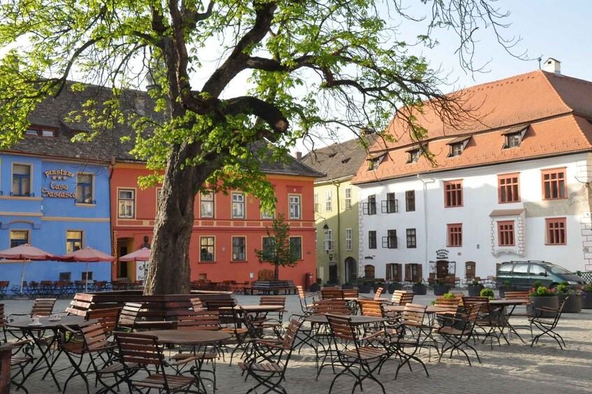 A cobblestone square with outdoor seating, colorful buildings, and a large tree. 1
