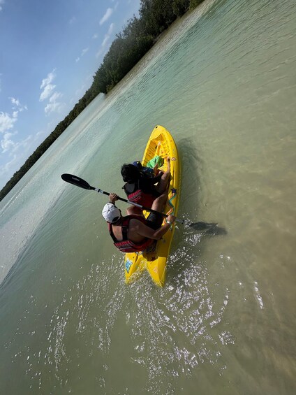 A person kayaking on a calm body of water with a forested shoreline. 2