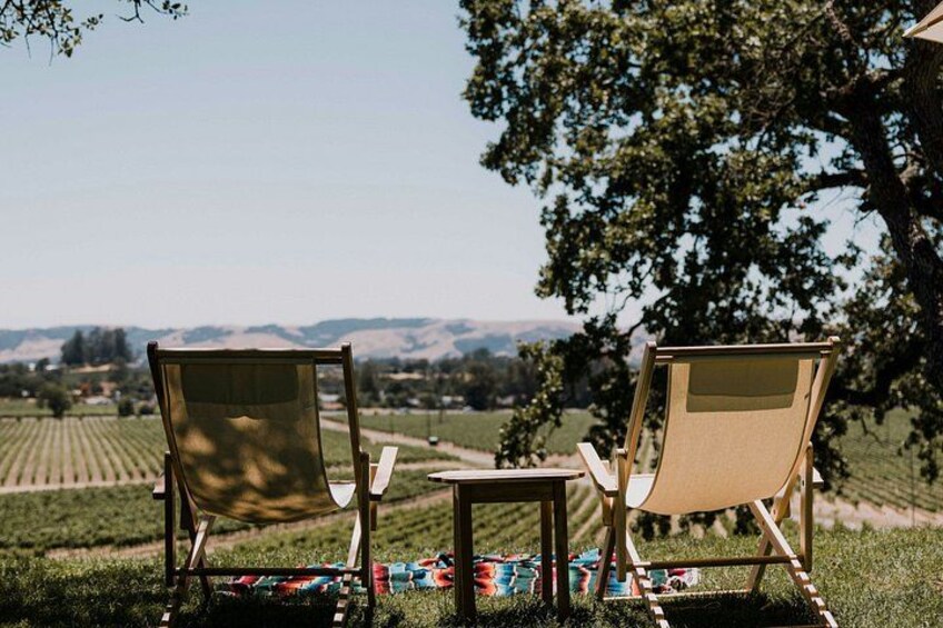Napa Valley Wine Country Self Guided Driving Tour 4