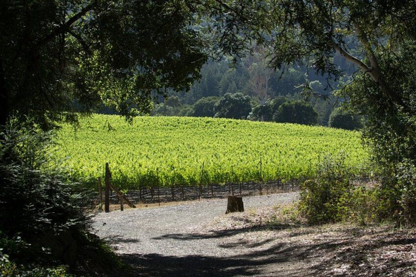 Napa Valley Wine Country Self Guided Driving Tour 3