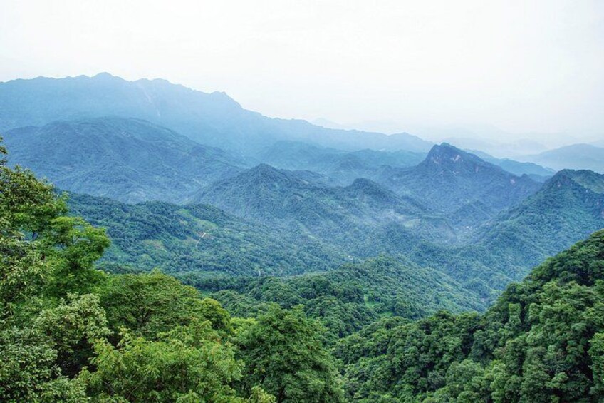 Private Mt Qingcheng and Dujiangyan Irrigation Tour from Chengdu 1