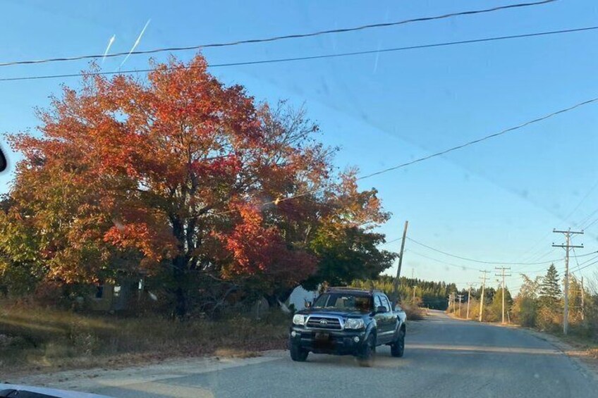 Una strada con un camion, alberi d'autunno e linee elettriche. 5