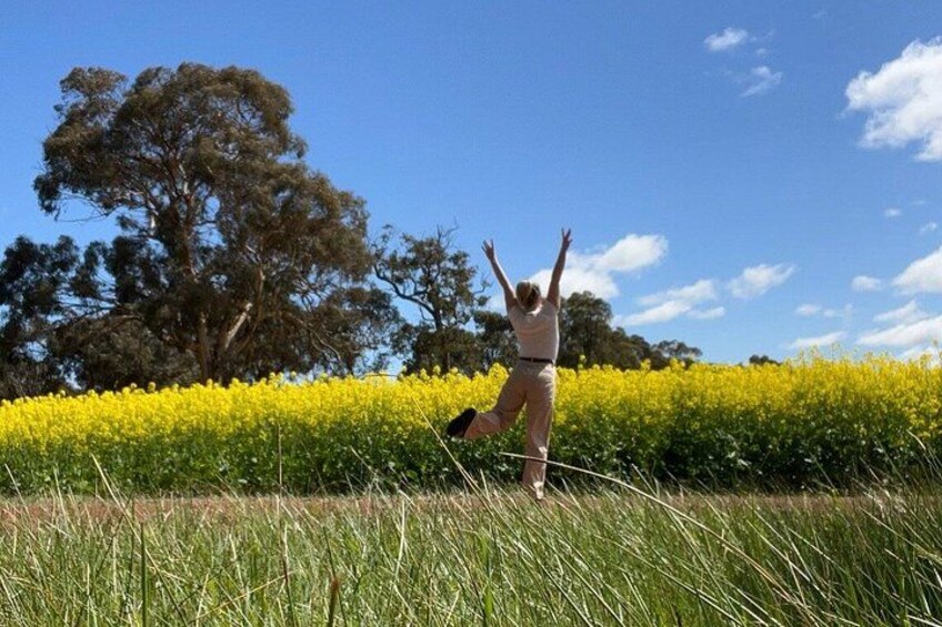 Wildflowers, Canola Fields and Historic New Norcia Day Tour 4