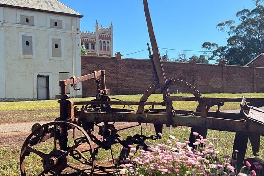 Wildflowers, Canola Fields and Historic New Norcia Day Tour 3