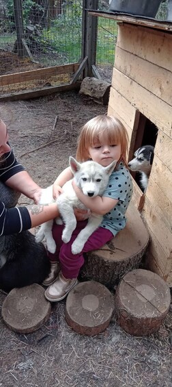 Picture 3 for Activity Kittilä / Levi: Husky Farm Guided Tour 2