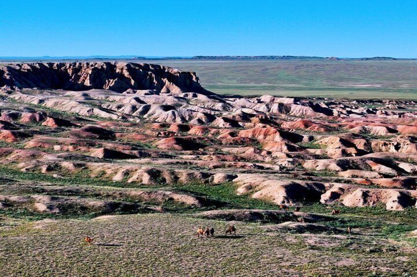 Un vaste paysage caractérisé par des collines douces et un horizon plat. 4